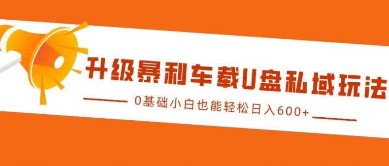 升级暴利车载U盘私域玩法，0基础小白也能轻松日入多张【揭秘】-凌秋网创