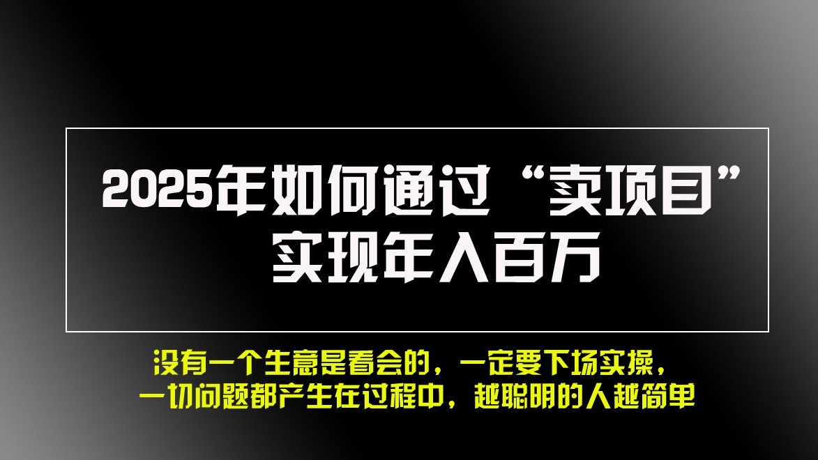 2025年如何通过“卖项目”实现年入百万-凌秋网创