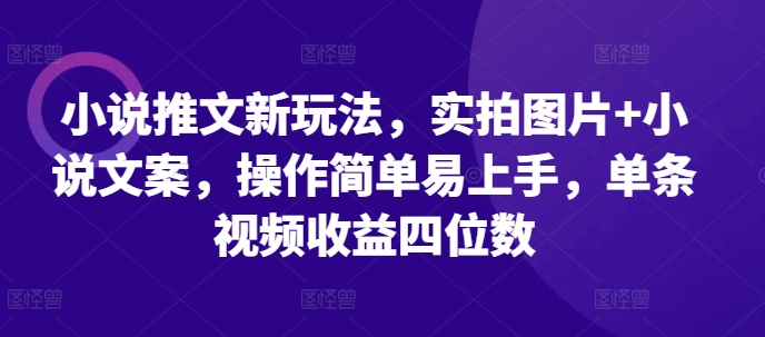 小说推文新玩法，实拍图片+小说文案，操作简单易上手，单条视频收益四位数-凌秋网创