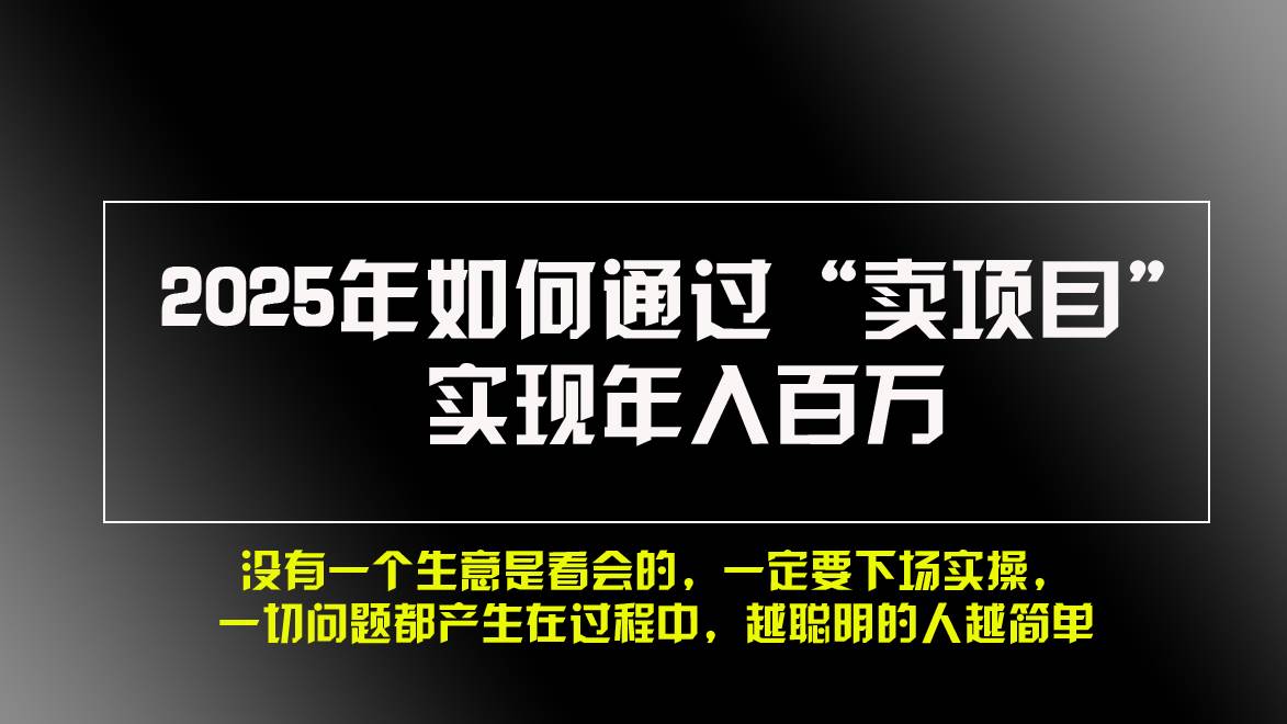 （13468期）2025年如何通过“卖项目”实现年入百万，做网赚必看！！-凌秋网创