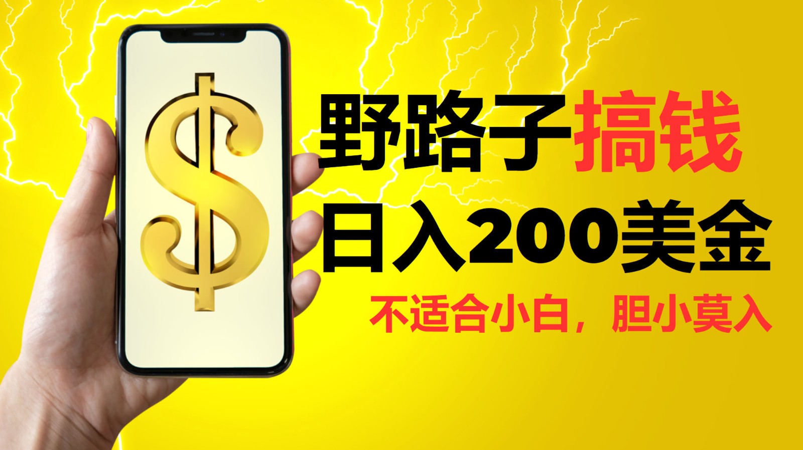 挂机野路子搞钱，日入200美金，路子很野，小白莫入-凌秋网创