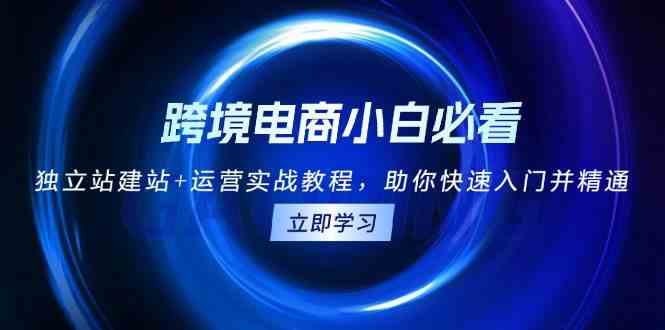 跨境电商小白必看！独立站建站+运营实战教程，助你快速入门并精通-凌秋网创