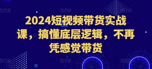 2024短视频带货实战课，搞懂底层逻辑，不再凭感觉带货-凌秋网创