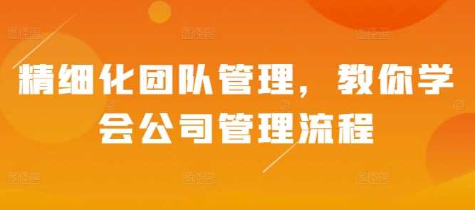 精细化团队管理，教你学会公司管理流程-凌秋网创