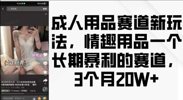 成人用品赛道新玩法，情趣用品一个长期暴利的赛道，3个月收益20个【揭秘】-凌秋网创