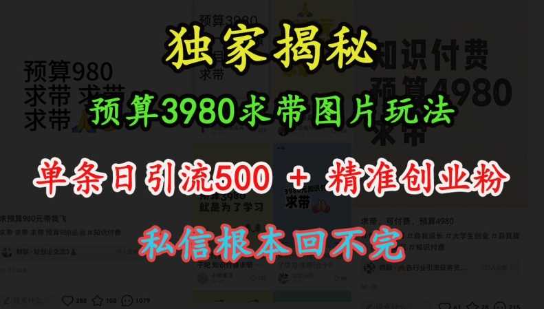 预算3980求带 图片玩法，单条日引流500+精准创业粉，私信根本回不完-凌秋网创