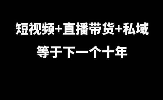 短视频+直播带货+私域等于下一个十年，大佬7年实战经验总结-凌秋网创
