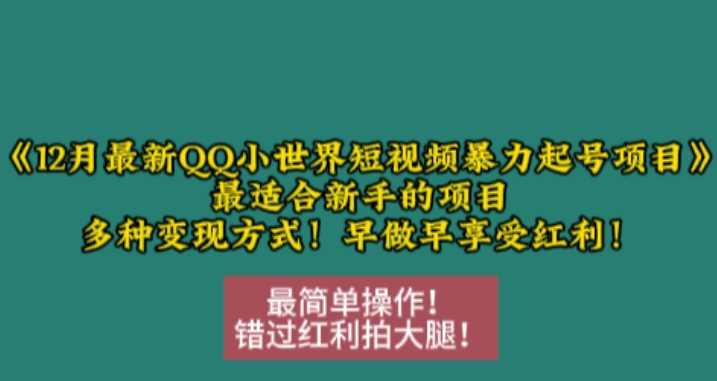 12月最新QQ小世界短视频暴力起号项目，最适合新手的项目，多种变现方式-凌秋网创