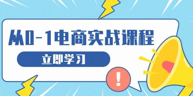 （13594期）从零做电商实战课程，教你如何获取访客、选品布局，搭建基础运营团队-凌秋网创