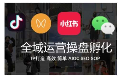 全域运营操盘(抖音+私域+小红书)，IP打造高效简单-凌秋网创