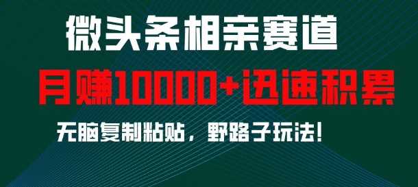 微头条相亲赛道，迅速积累，无脑复制粘贴，野路子玩法，月入1w-凌秋网创