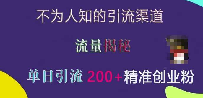 不为人知的引流渠道，流量揭秘，实测单日引流200+精准创业粉【揭秘】-凌秋网创