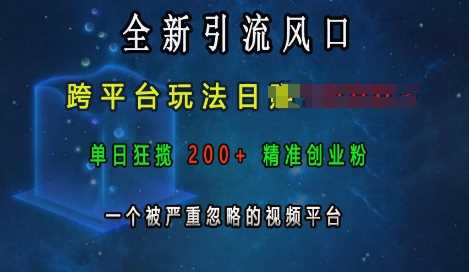 全新引流风口，跨平台玩法日入上k，单日狂揽200+精准创业粉，一个被严重忽略的视频平台-凌秋网创
