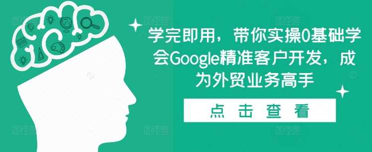 学完即用，带你实操0基础学会Google精准客户开发，成为外贸业务高手-凌秋网创