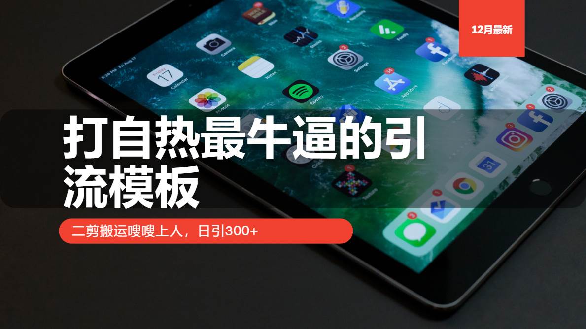 （13654期）打自热最牛逼的引流模板，二剪搬运嗖嗖上人，日引300+-凌秋网创