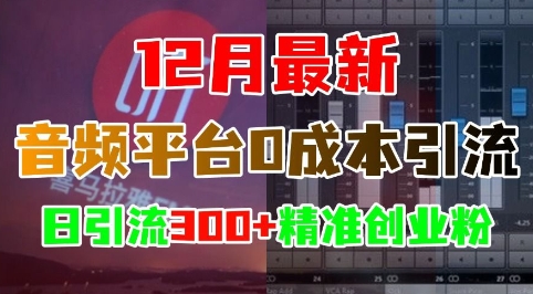12月最新：音频平台0成本引流，日引流300+精准创业粉-凌秋网创