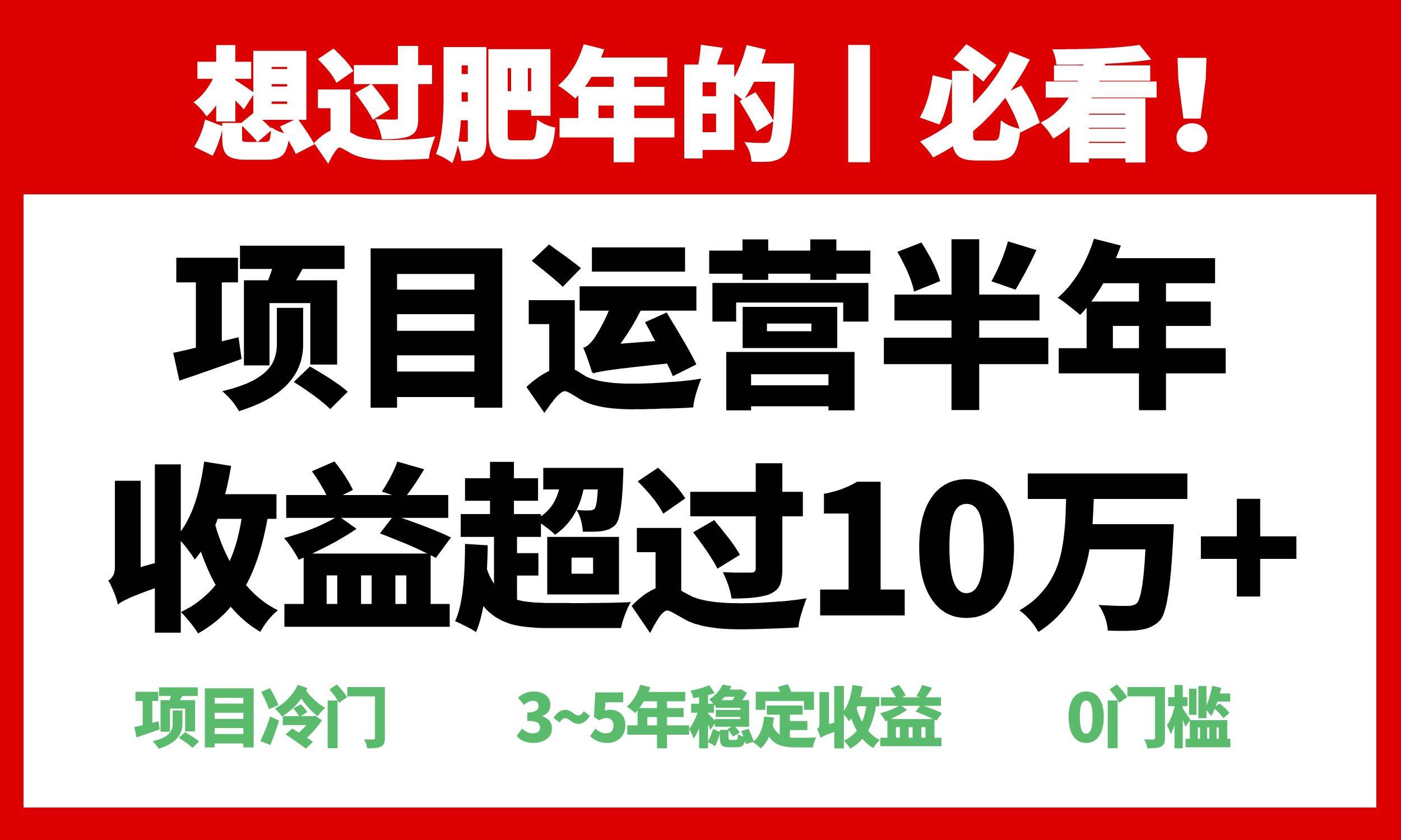 （13663期）年前过肥年的必看的超冷门项目，半年收益超过10万+，-凌秋网创