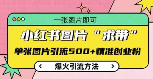 小红书图片‘求带’爆火引流法，单张图片引流500+精准创业粉【揭秘】-凌秋网创