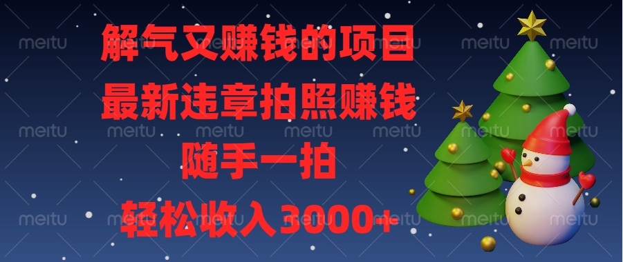 （13686期）解气又赚钱的项目，最新违章拍照赚钱，随手一拍，轻松收入3000+-凌秋网创