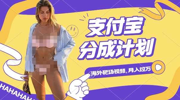 利用海外靶场射击视频，挣支付宝分成收益，轻松月入过W【揭秘】-凌秋网创