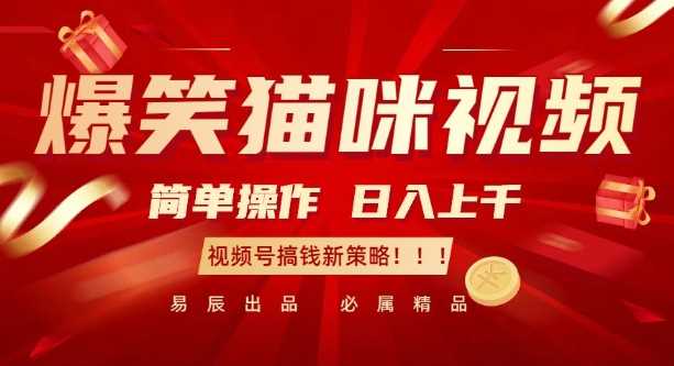 爆笑猫咪视频：简单操作，日入过K，视频号搞钱新策略【揭秘】-凌秋网创