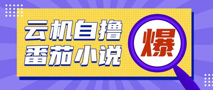 首发云手机自撸小说玩法，10块钱成本可撸200+收益操作简单【揭秘】-凌秋网创