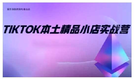 TikTok本土精品小店出海实战营，从入门到高阶，不止0-1!-凌秋网创