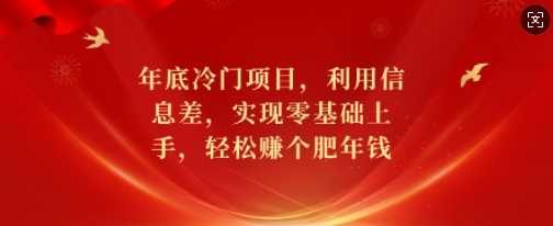 年底冷门项目，利用信息差，实现零基础上手，轻松赚个肥年钱【揭秘】-凌秋网创