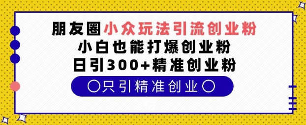 朋友圈小众玩法引流创业粉，小白也能打爆创业粉，日引300+精准创业粉【揭秘】-凌秋网创