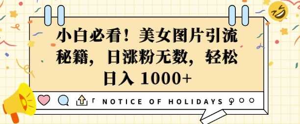小白必看，美女图片引流秘籍，日涨粉无数，轻松日入几张【揭秘】-凌秋网创