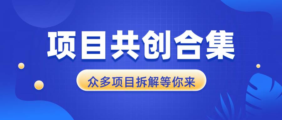 （13778期）项目共创合集，从0-1全过程拆解，让你迅速找到适合自已的项目-凌秋网创