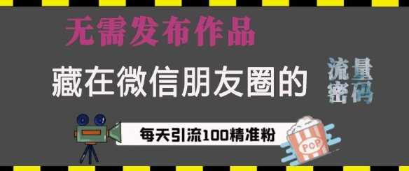 藏在微信朋友圈的流量密码，无需发布作品，单日引流100+精准创业粉【揭秘】-凌秋网创