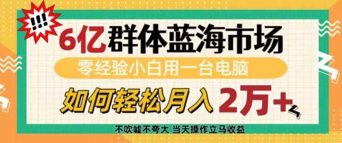 6亿群体蓝海市场，零经验小白用一台电脑，如何轻松月入过w【揭秘】-凌秋网创