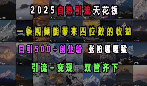 2025自热引流天花板，一条视频能带来四位数的收益，引流+变现双管齐下，日引500+创业粉，涨粉嘎嘎猛-凌秋网创