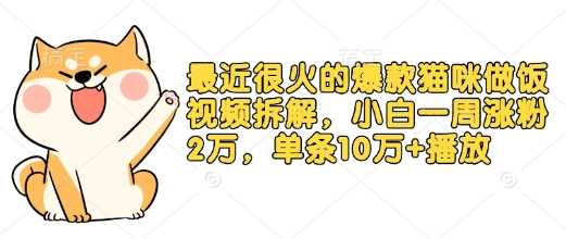 最近很火的爆款猫咪做饭视频拆解，小白一周涨粉2万，单条10万+播放(附保姆级教程)-凌秋网创