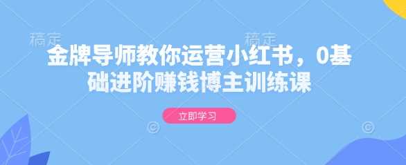 金牌导师教你运营小红书，0基础进阶赚钱博主训练课-凌秋网创