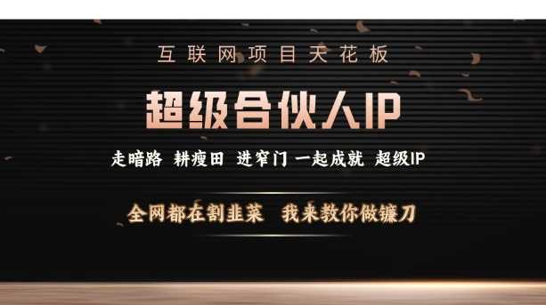 互联网项目天花板，超级合伙人IP，全网都在割韭菜，我来教你做镰刀【仅揭秘】-凌秋网创