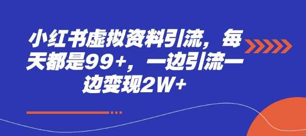 小红书虚拟资料引流，每天都是99+，一边引流一边变现2W+-凌秋网创