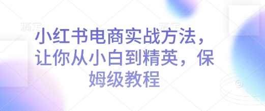 小红书电商实战方法，让你从小白到精英，保姆级教程-凌秋网创