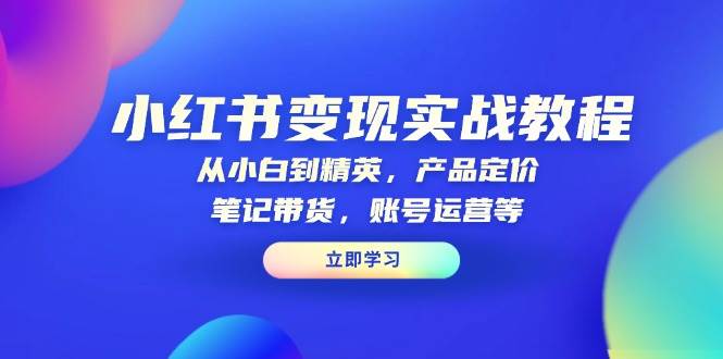 小红书变现实战教程：从小白到精英，产品定价，笔记带货，账号运营等-凌秋网创