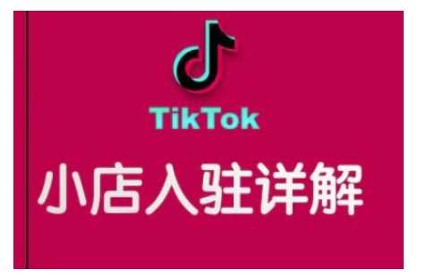 TikTok跨境小店运营全攻略，帮助你独立运营TK跨境小店的能力，实现销量增长-凌秋网创