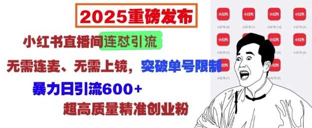 2025重磅发布：小红书直播间连怼引流，无需连麦、无需上镜，突破单号限制，暴力日引流600+-凌秋网创