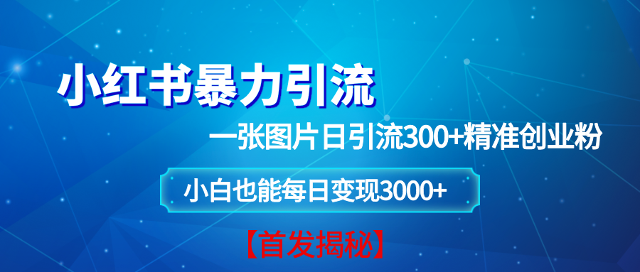 （13935期）小红书暴力引流法，一张图片日引 300+精准创业粉，每日稳定变现 3000+【揭秘】-凌秋网创