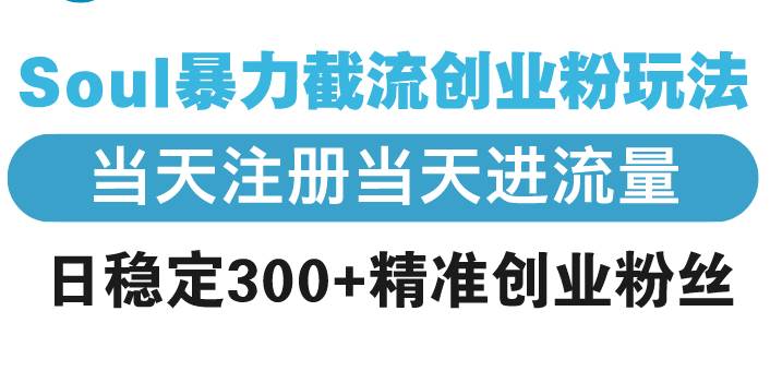 （13935期）Soul暴力截流创业粉玩法，当天注册当天进流量，日稳定300+精准创业粉丝-凌秋网创