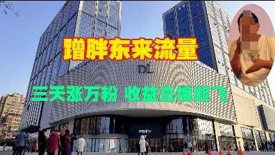 蹭胖东来流量，三天涨万粉，收益直接起飞-凌秋网创
