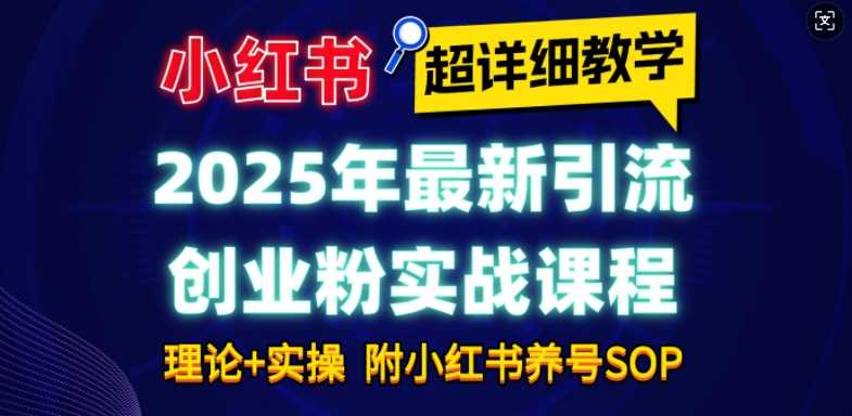 2025年最新小红书引流创业粉实战课程【超详细教学】小白轻松上手，月入1W+，附小红书养号SOP-凌秋网创