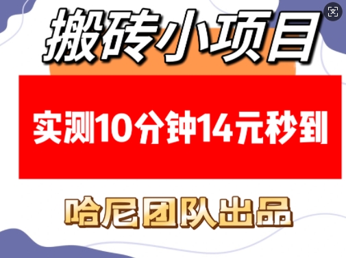 搬砖小项目，实测10分钟14元秒到，每天稳定几张(赠送必看稳定)-凌秋网创
