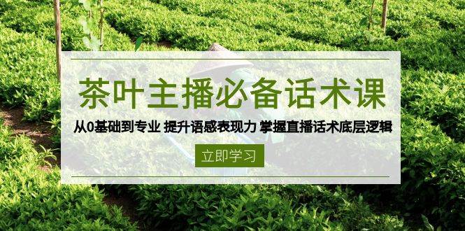 茶叶主播必备话术课 从0基础到专业 提升语感表现力 掌握直播话术底层逻辑-凌秋网创