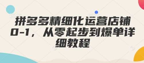 拼多多精细化运营店铺0-1，从零起步到爆单详细教程-凌秋网创