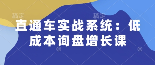 直通车实战系统：低成本询盘增长课，让个人通过技能实现升职加薪，让企业低成本获客，订单源源不断-凌秋网创